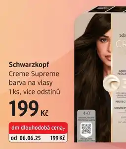 dm drogerie Schwarzkopf Creme Supreme barva na vlasy nabídka