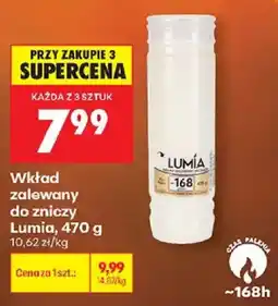 Biedronka Polsko Lumia wkład zalewany do zniczy nabídka