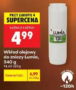 Biedronka Polsko Lumia wkład olejowy nabídka