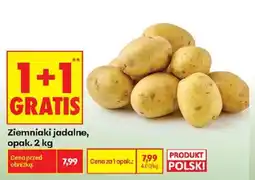 Biedronka Polsko Ziemniaki jadalne nabídka