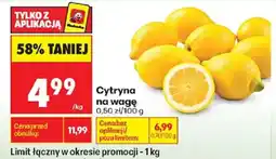 Biedronka Polsko Cytryna nabídka