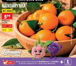 Biedronka Polsko Mandarynka nabídka