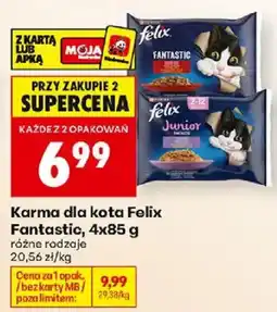 Biedronka Polsko Karma dla kota Felix Fantastic nabídka