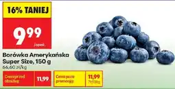 Biedronka Polsko Borówka Amerykańska nabídka