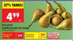 Biedronka Polsko Gruszka Konferencja nabídka