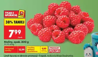 Biedronka maliny