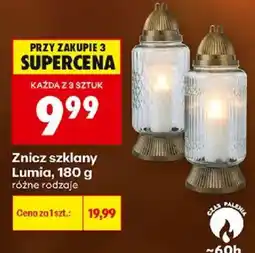 Biedronka Polsko Znicz szklany Lumia nabídka