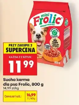 Biedronka Polsko Frolic sucha karma dla psa nabídka
