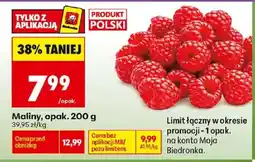 Biedronka Polsko Maliny nabídka
