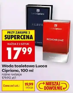 Biedronka Polsko Lucca Cipriano woda toaletowa nabídka