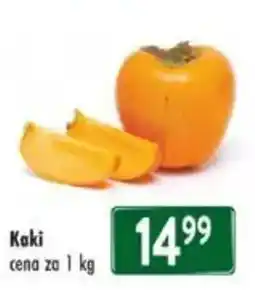 Qanto Kaki nabídka