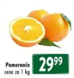 Qanto Pomeranče nabídka