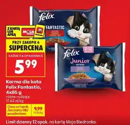 Biedronka Polsko Felix Fantastic nabídka