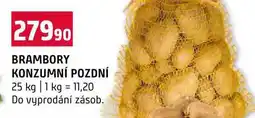 Terno BRAMBORY KONZUMNÍ POZDNÍ nabídka