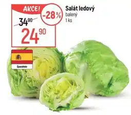 Globus Salát ledový nabídka