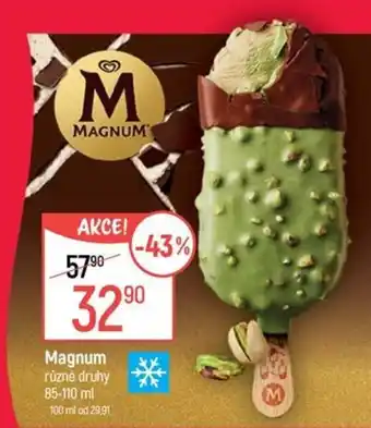 Magnum různé druhy