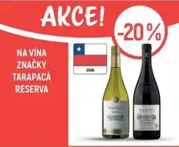Globus Tarapacá Reserva nabídka