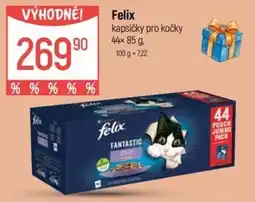 Globus Felix kapsičky pro kočky nabídka