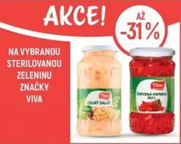 Globus Viva zelenina nabídka