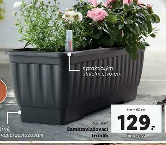 Lidl Samozavlažovací truhlík nabídka