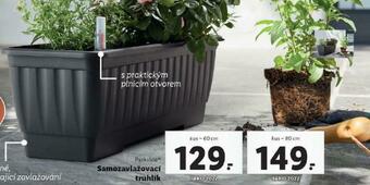 Lidl Samozavlažovací truhlík nabídka