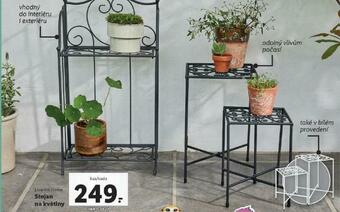 Lidl Stojan na květiny nabídka