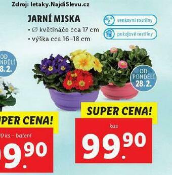 Lidl Jarní miska nabídka