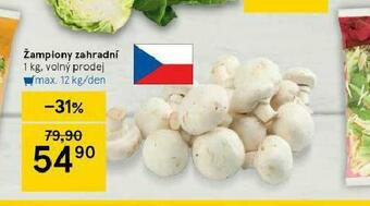 Tesco Žampiony zahradní nabídka