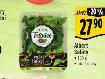 Jip Albert salát nabídka