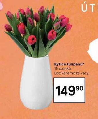 Tesco Kytice tulipánů nabídka