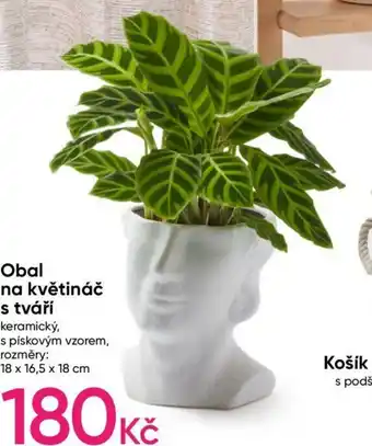 Pepco Obal na květináč s tváří nabídka