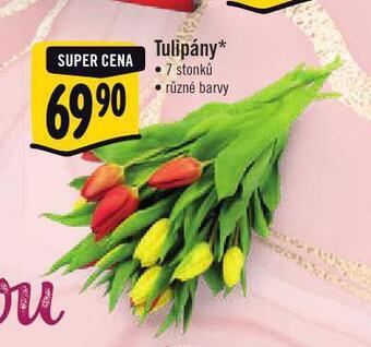 Tulipány