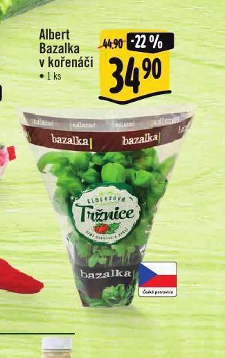 Bazalka v kořenáči