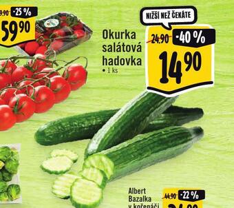 Albert Okurka salátová nabídka