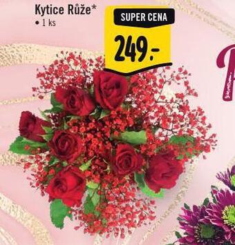 Albert Kytice růže nabídka