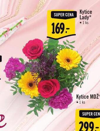 Albert Kytice lady nabídka