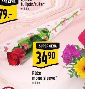 Albert Růže mono sleeve nabídka