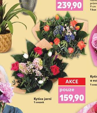 Kaufland Kytice jarní nabídka
