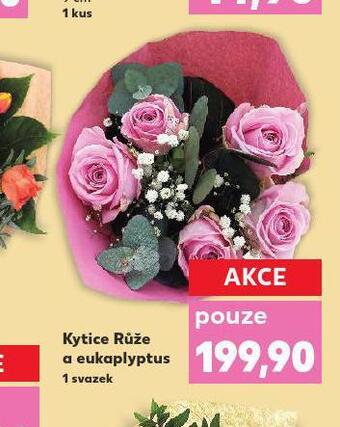 Kaufland Kytice růže a eukalyptus nabídka