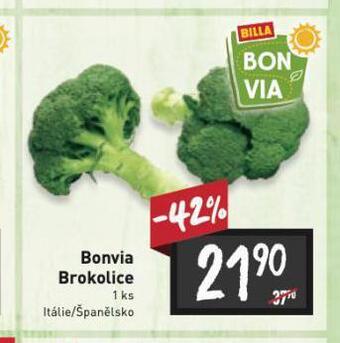 Billa Brokolice nabídka
