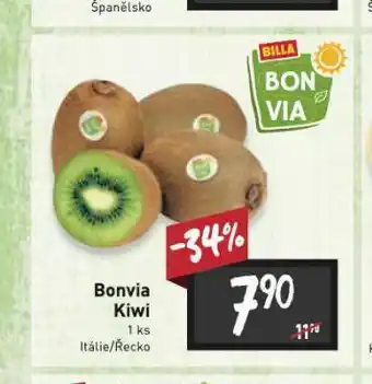 Bonvia kiwi