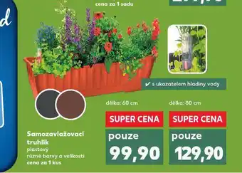 Kaufland Samozavlažovací truhlík 80 cm nabídka