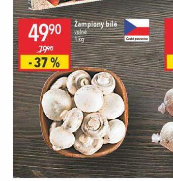 Globus Žampiony bílé nabídka