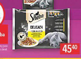 Globus Sheba kapsičky pro kočky nabídka