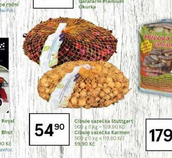 Tesco Cibule sazečka stuttgart nabídka