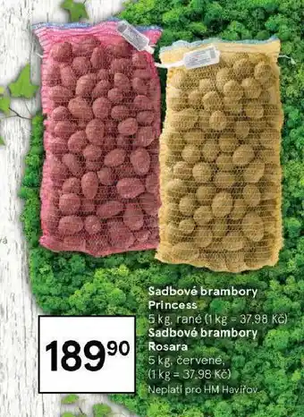Tesco Sadbové brambory rosara nabídka
