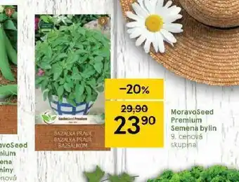 Moravoseed premium semena bylin