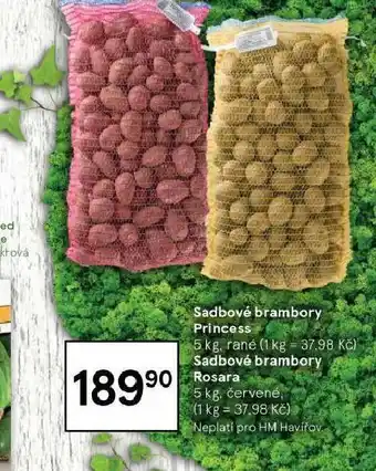 Tesco Sadbové brambory princess nabídka