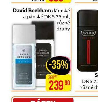 David beckham dns