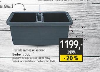 Globus Truhlík samozavlažovací berberis duo nabídka